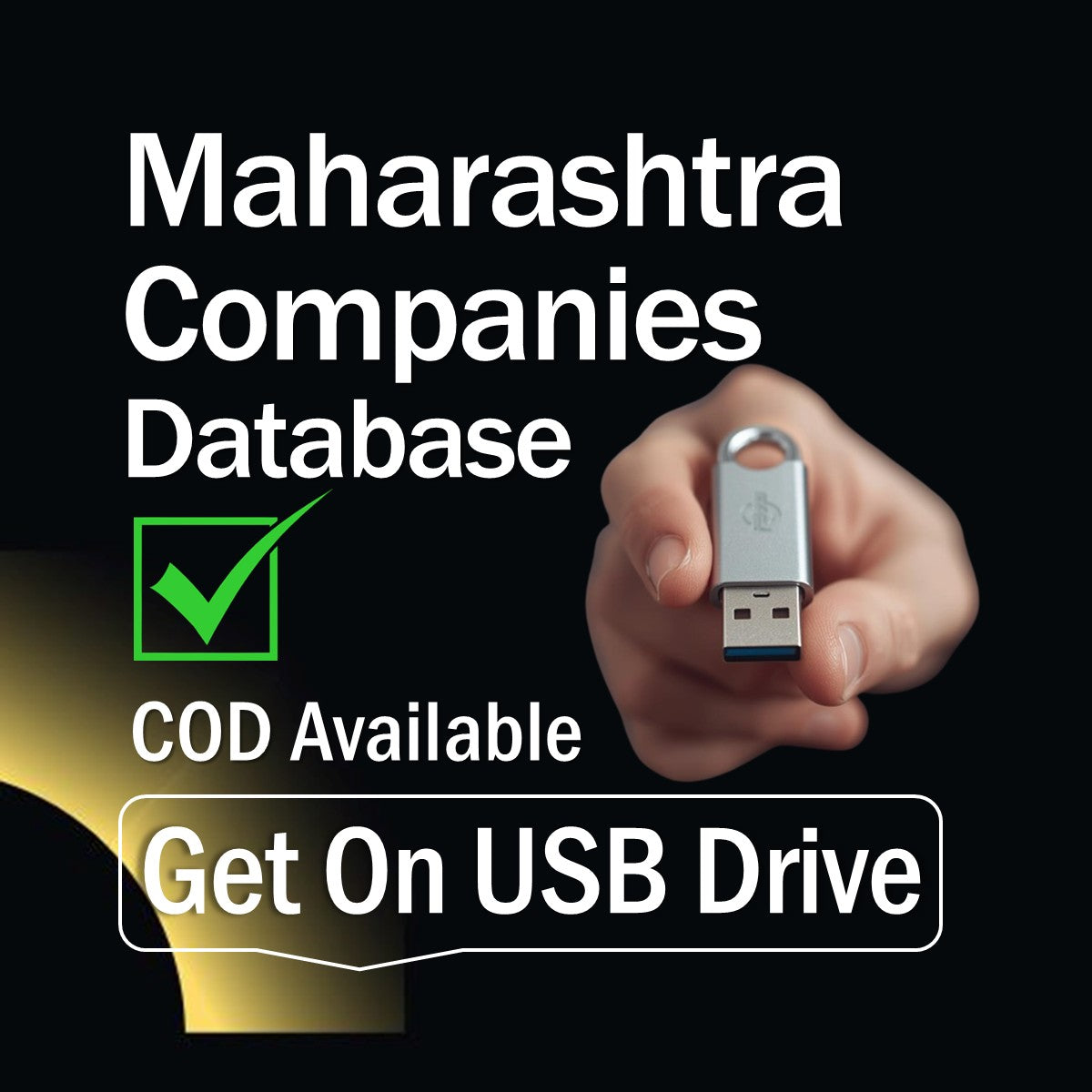 MAHARASHTRA COMPANIES DATABASE